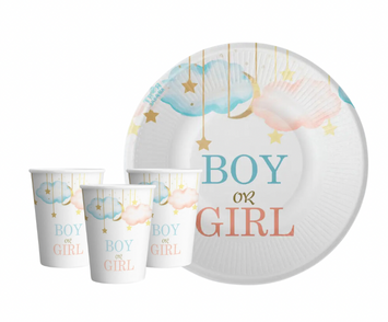 Набір посуду для гендер пати Boy or girl на 10 осіб pv_5123 фото