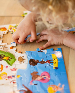 Пазли , Магніти